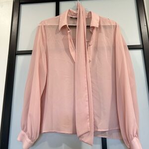 Zara Blush Pink Sheer Blouse